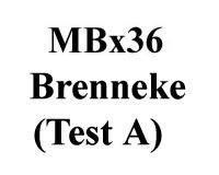 Brenneke Silver Cal 36 (Test A)