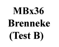 Brenneke Silver Cal 36 (Test B)