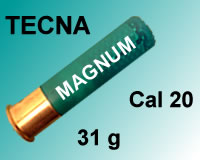 20GA_Mag_Tecna_31g