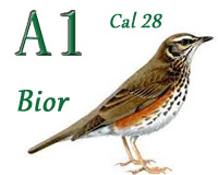Cal 28_A1_18g_bior