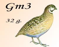 Cal 12_GM3_32g_SuperG22